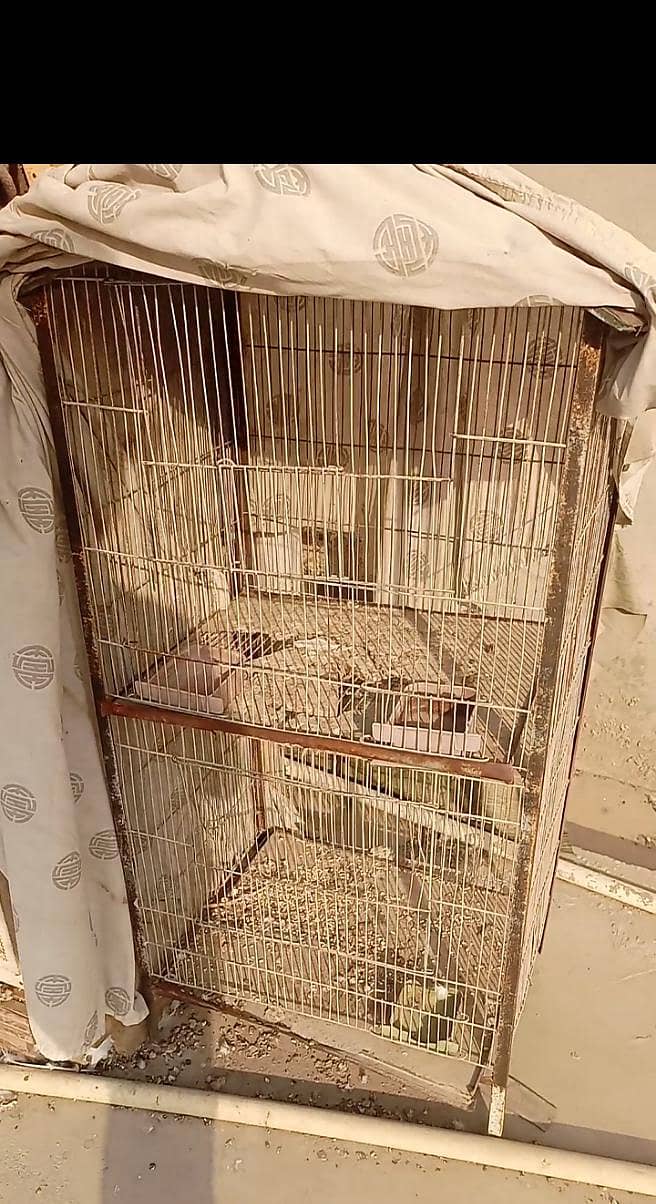 Cage 2 portion 0