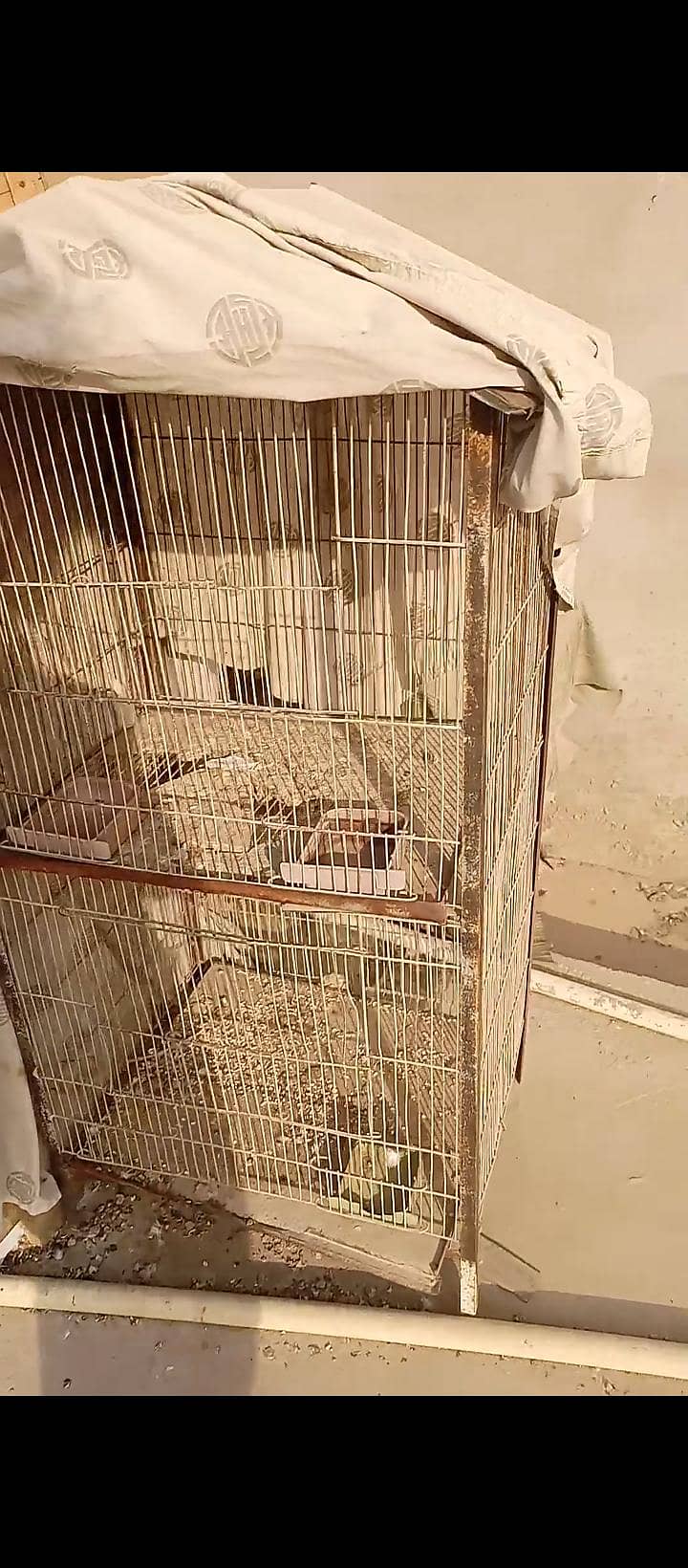 Cage 2 portion 1