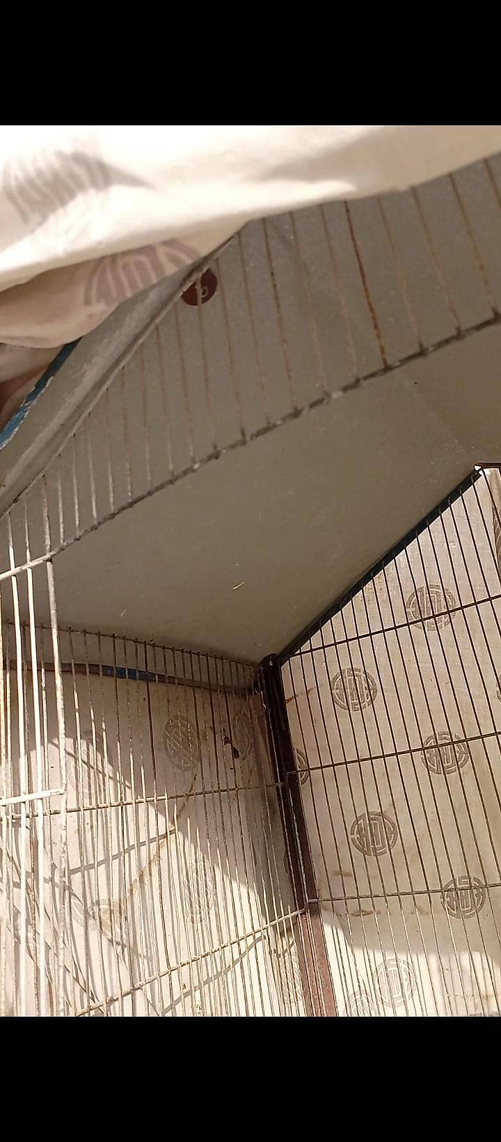 Cage 2 portion 2