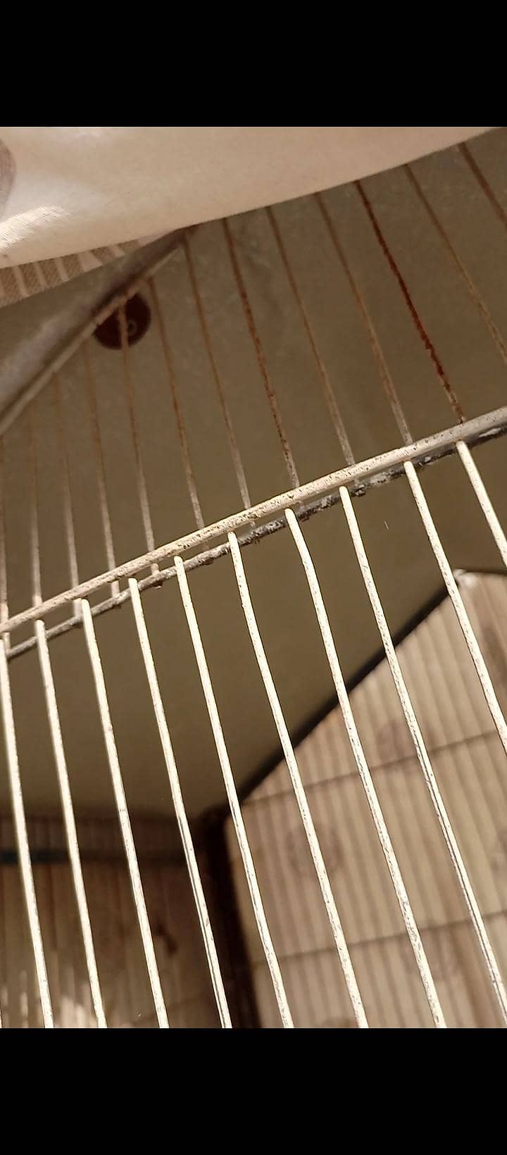 Cage 2 portion 3
