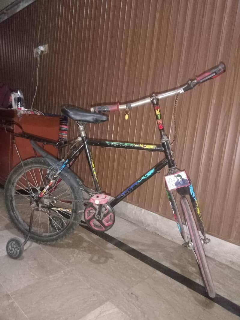 Bicycle 0