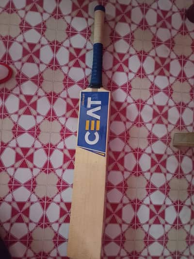 hard cricket kit