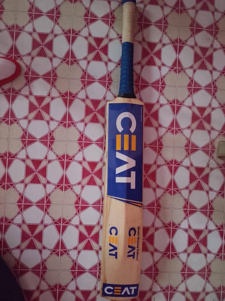 hard cricket kit 1