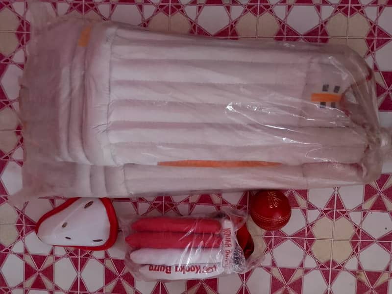 hard cricket kit 2