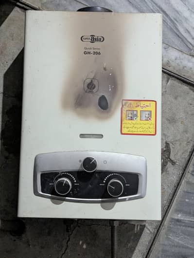 Instant gas geyser