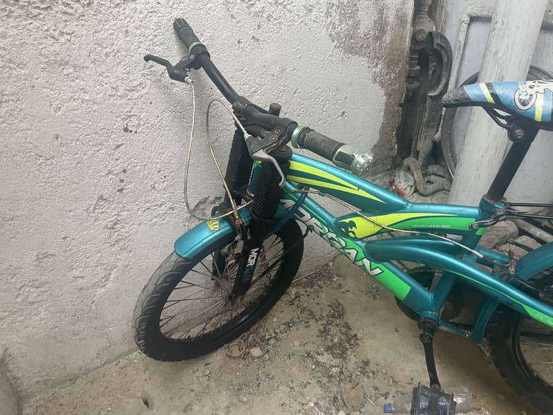 My cycle 0