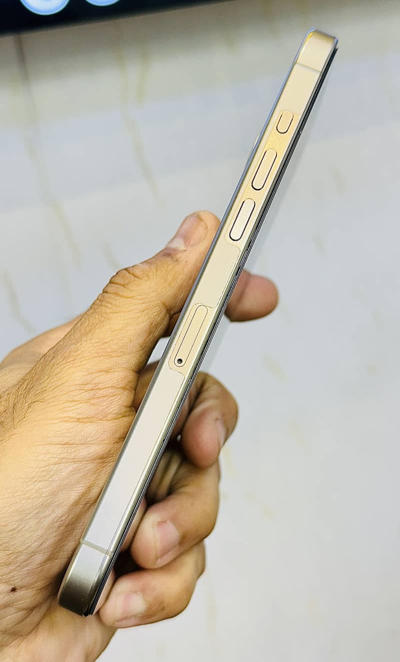 Apple iPhone 15 Pro Max 6