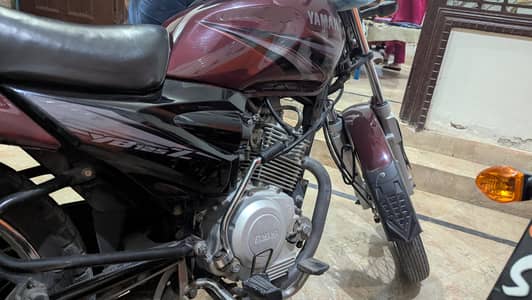 Yamaha ybz for sale