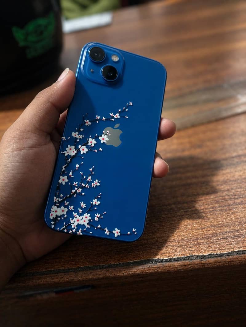 Apple iPhone 13 0