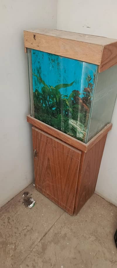 acquarium for sale