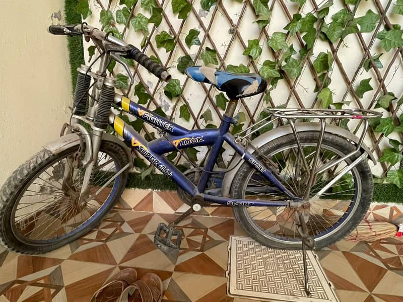bicycle 2
