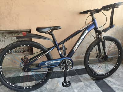 Mountain bicycle
