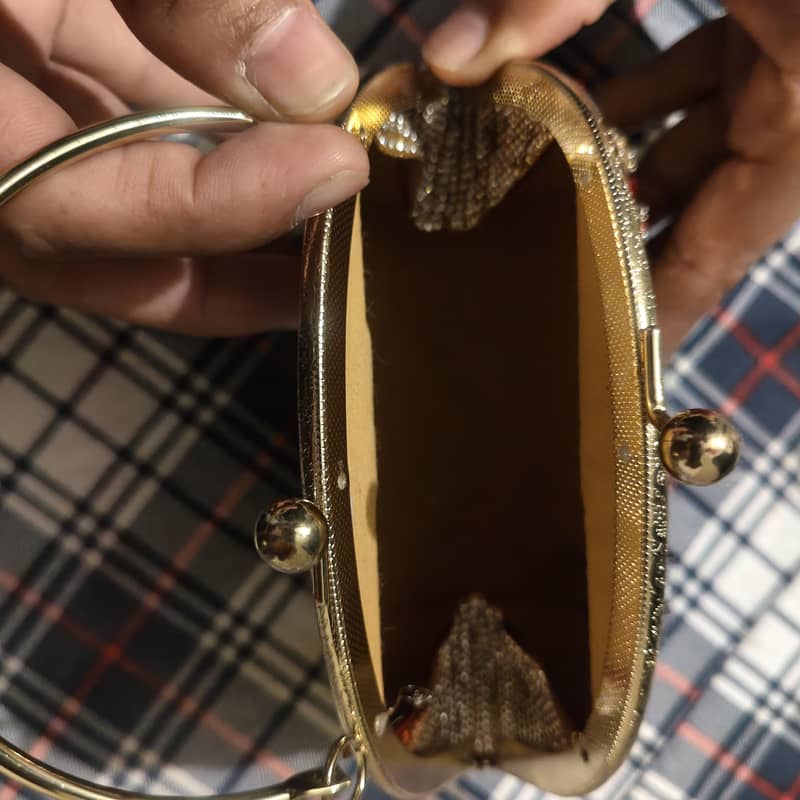 Handbag 4