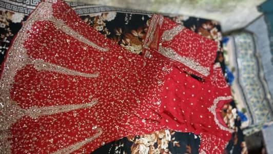 lehenga girls bridle