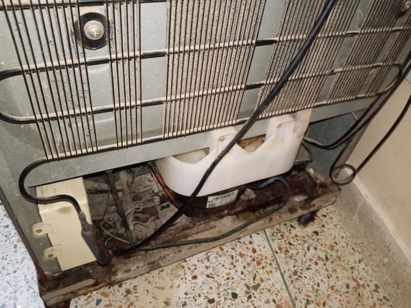 Haier Refrigerator 10