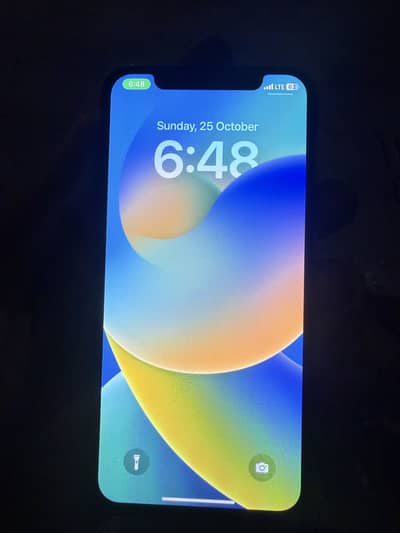 Apple iPhone X