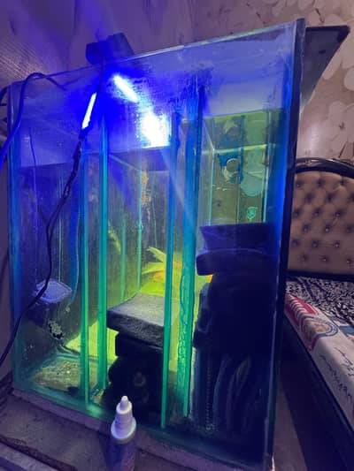 3 feet aquarium with sump accessories and fish