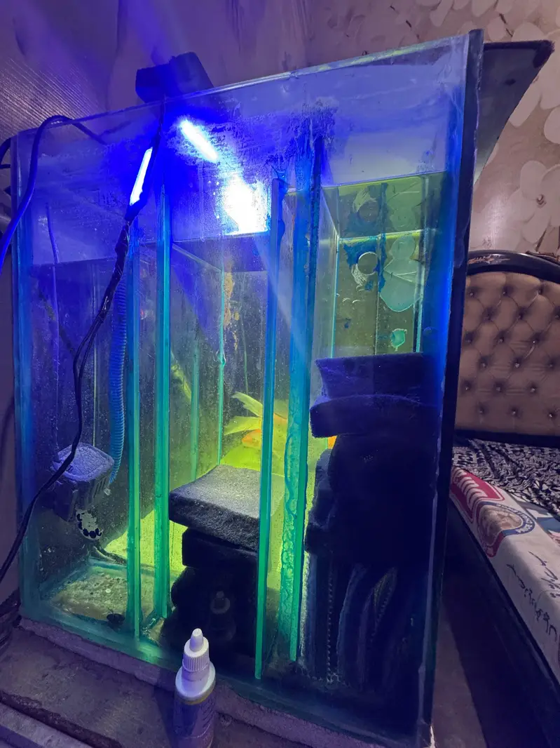 3 feet aquarium with sump accessories and fish — photo 2