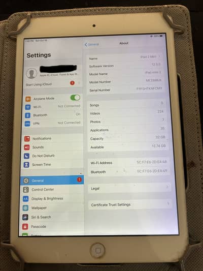 iPad Mini 2