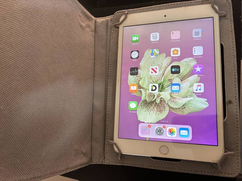 iPad Mini 2 1
