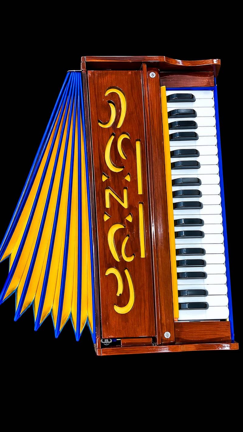indian harmonium 2