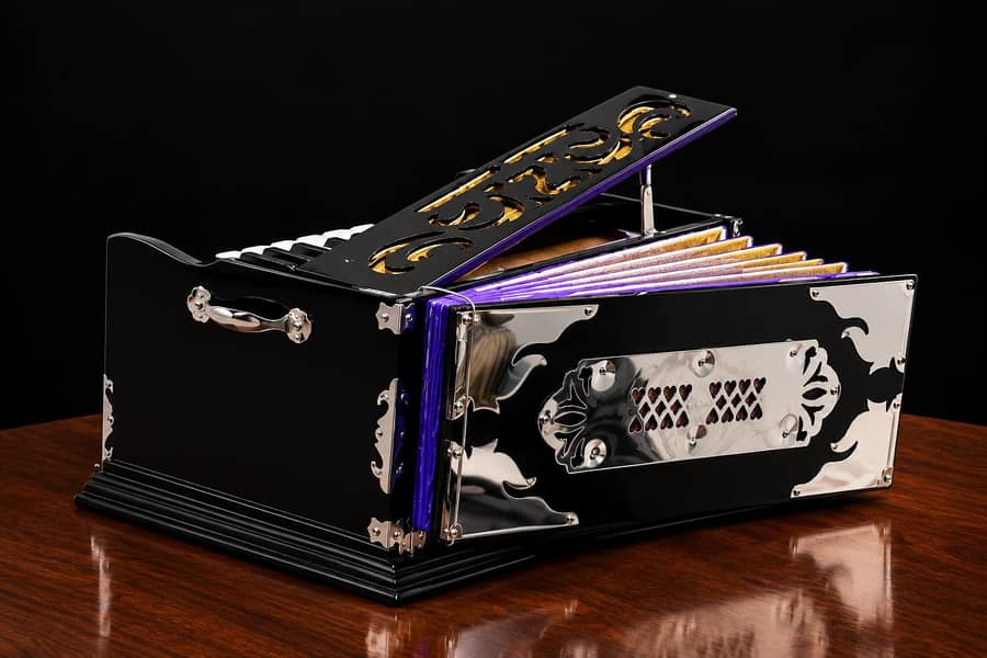 indian harmonium 4