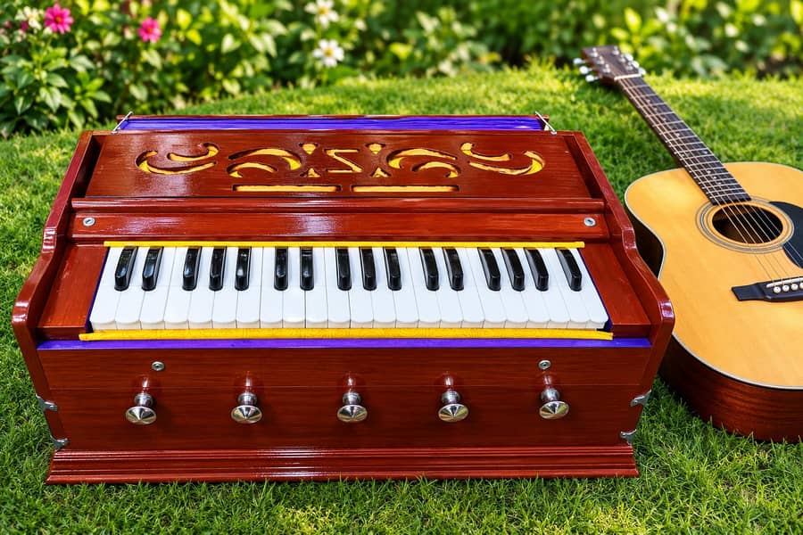 indian harmonium 5