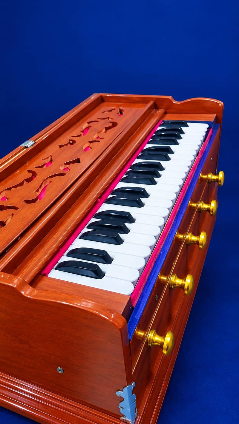 indian harmonium 7
