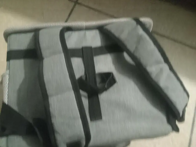 peacut cat bag — photo 2