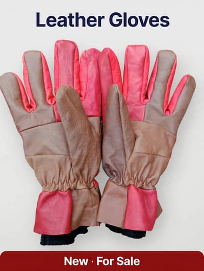 Winter Gloves