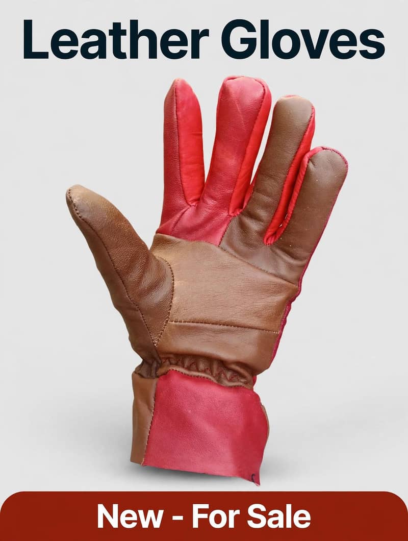 Winter Gloves 1