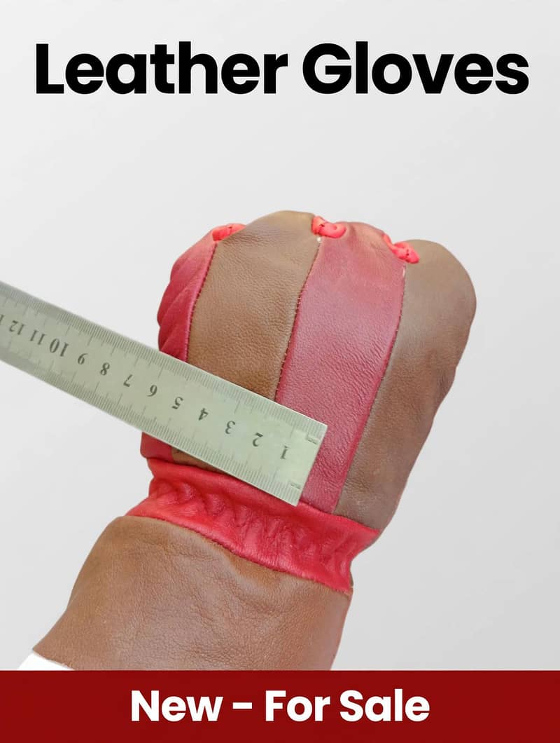 Winter Gloves 2