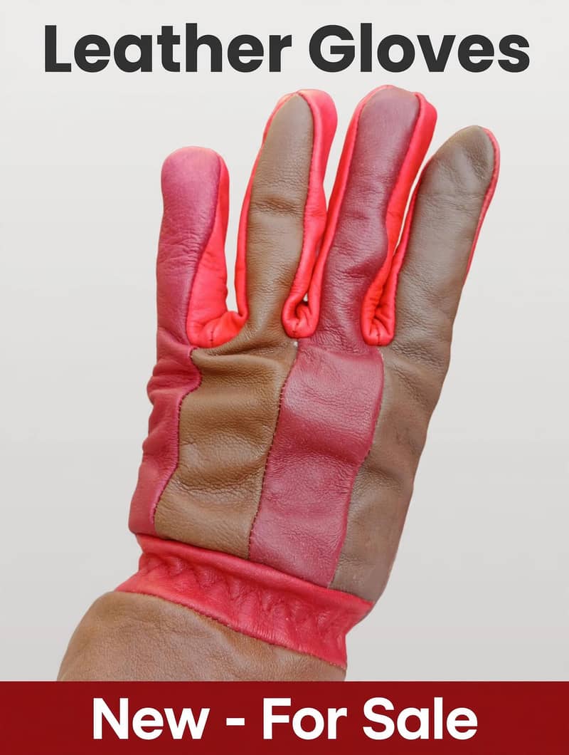 Winter Gloves 3