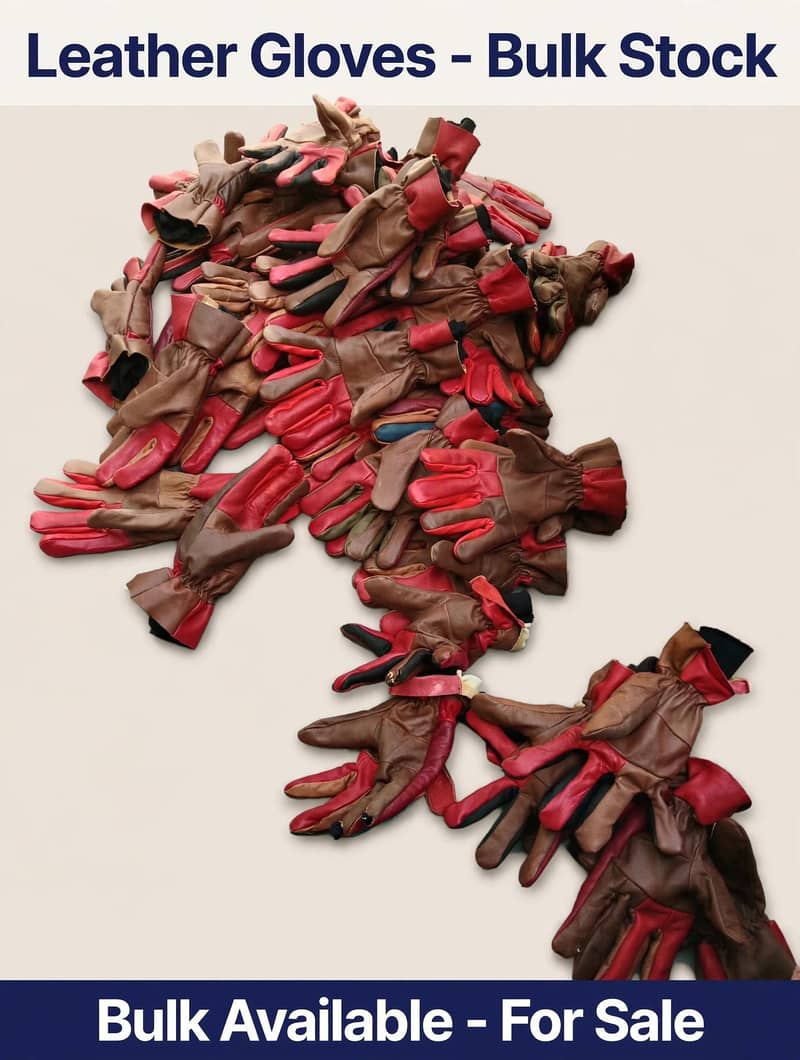 Winter Gloves 6