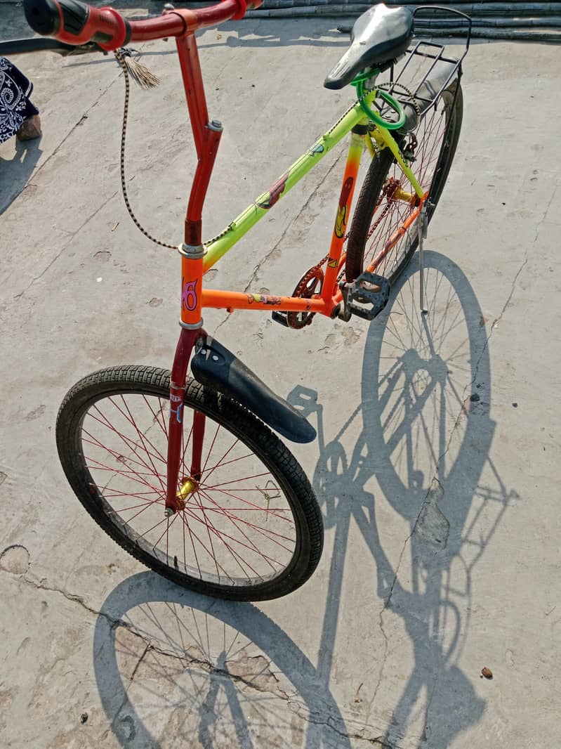 phoenix bicycle 1