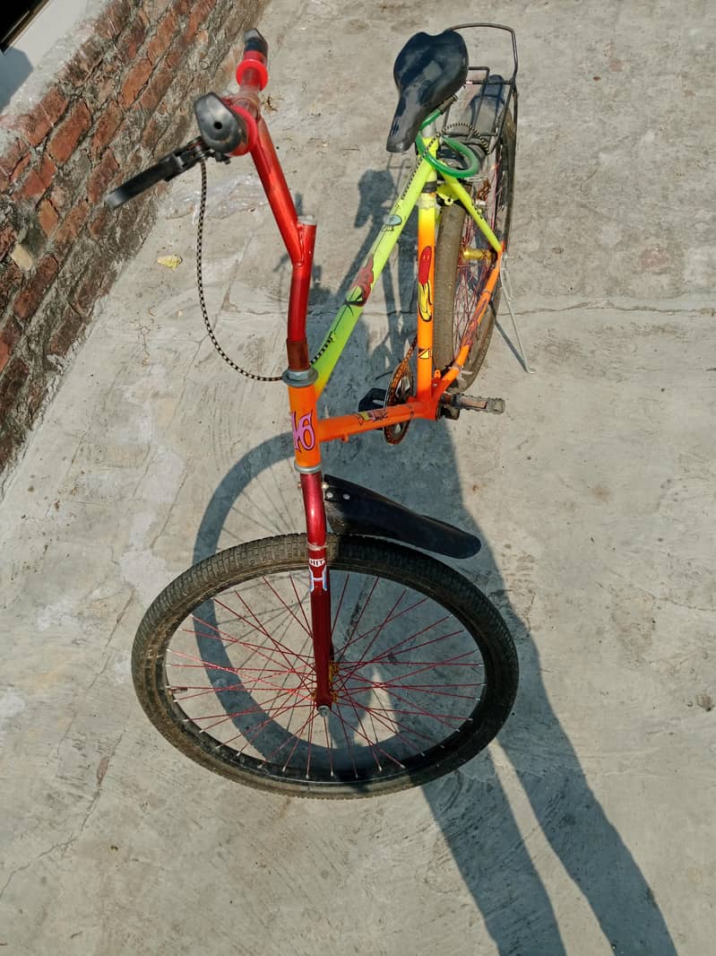 phoenix bicycle 2