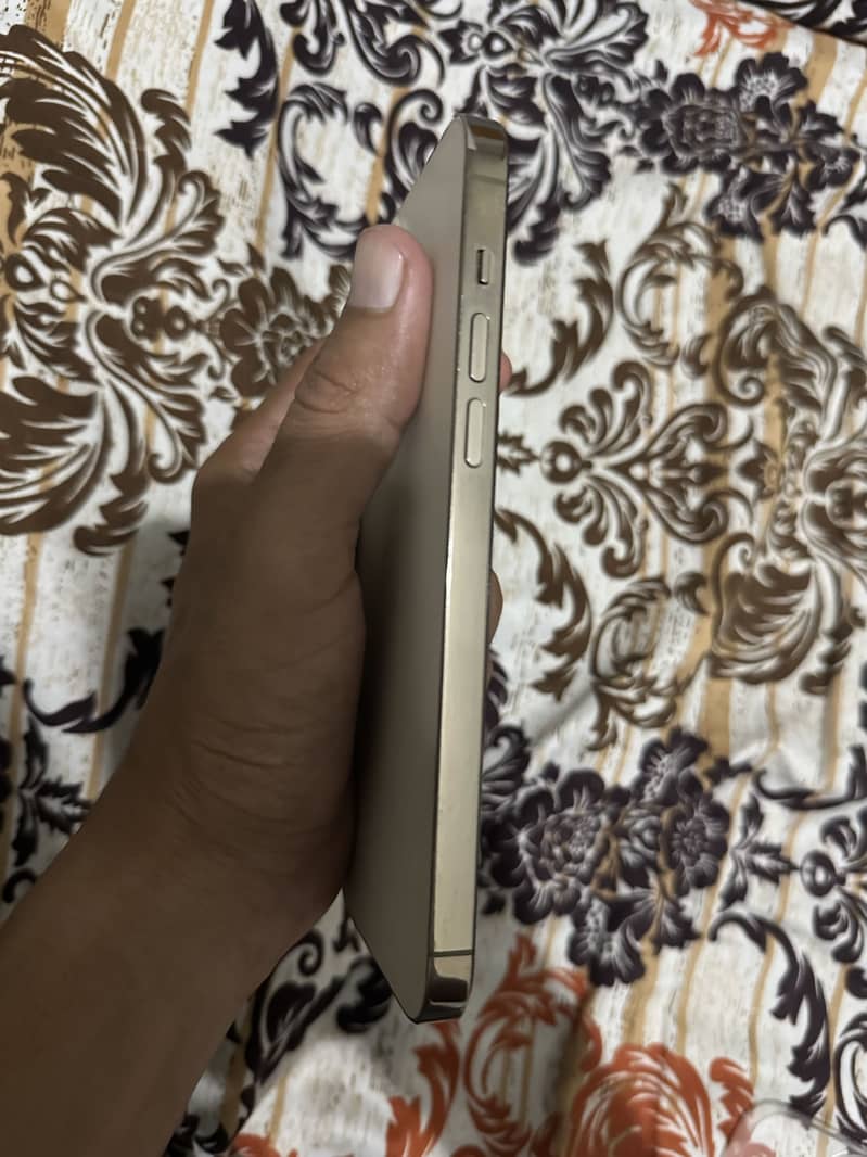 Apple iPhone 14 Pro Max 1