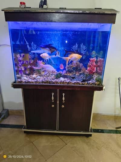 Aquarium with fish - Complete Setup With Filter, Light & Accessories
