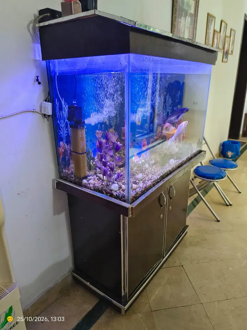 Aquarium with fish - Complete Setup With Filter, Light & Accessories — photo 3