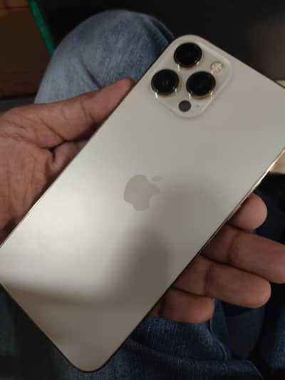 Apple iPhone 12 Pro Max