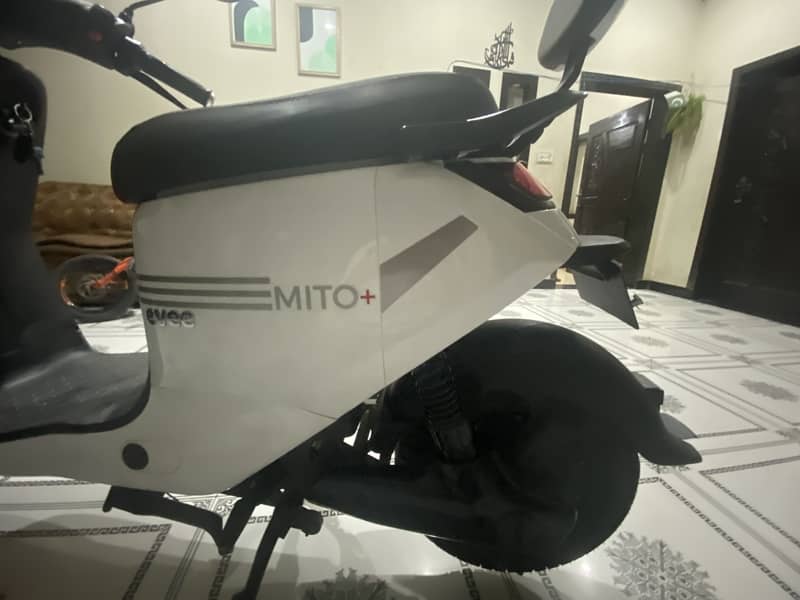 mito plus 7