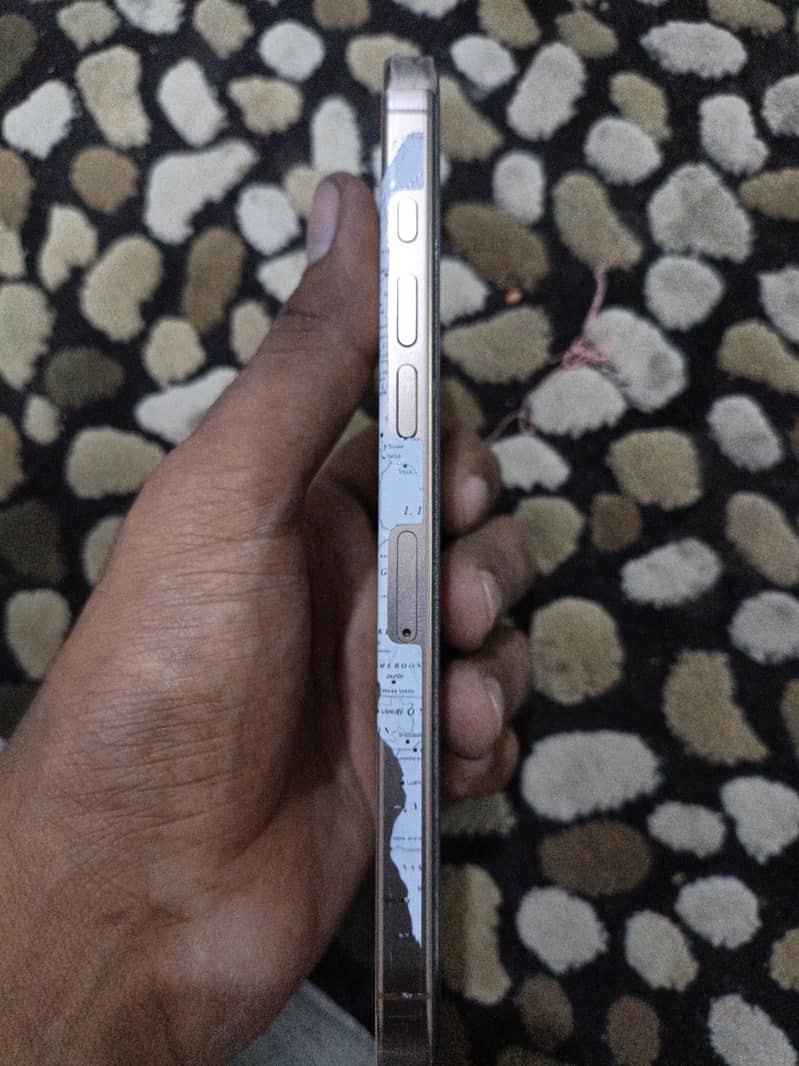 Apple iPhone 16 Pro Max 1