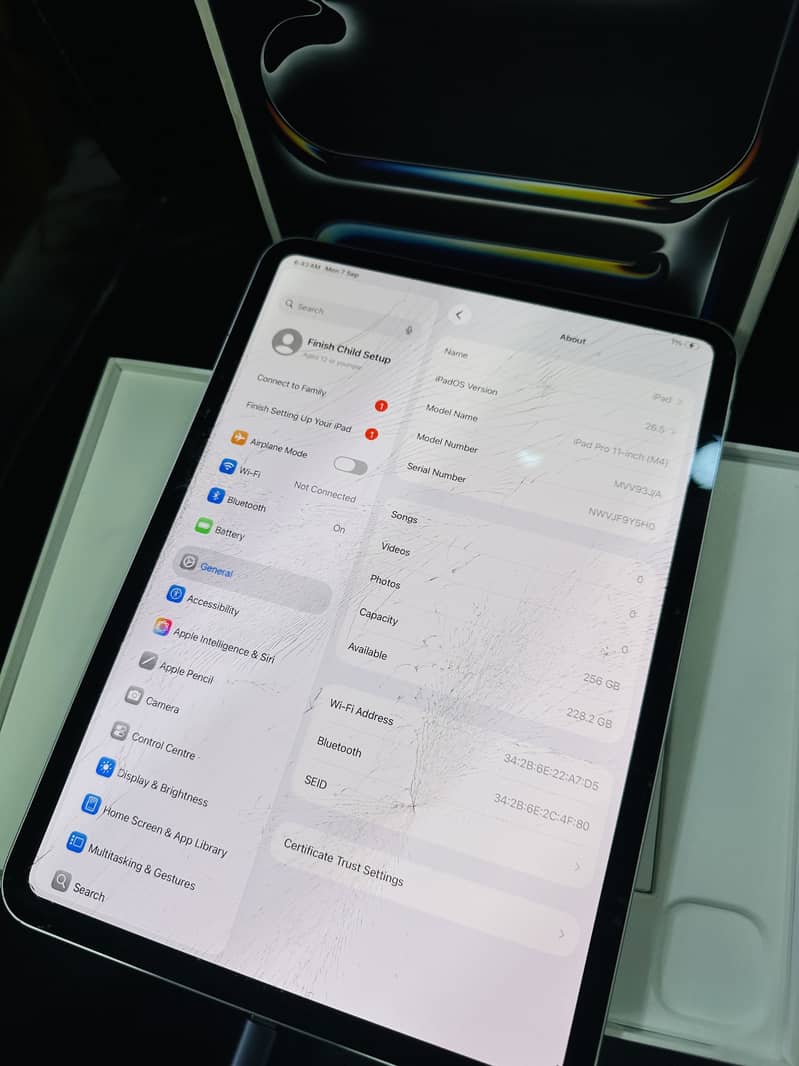 Ipad M4 256gb 0