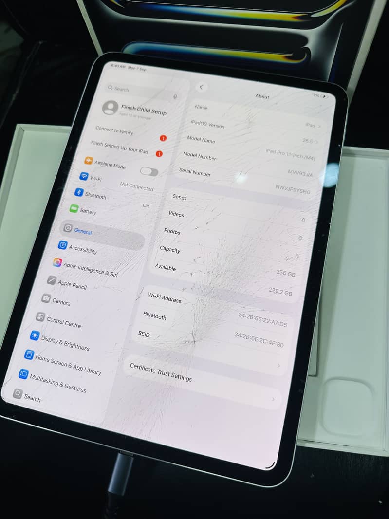 Ipad M4 256gb 5