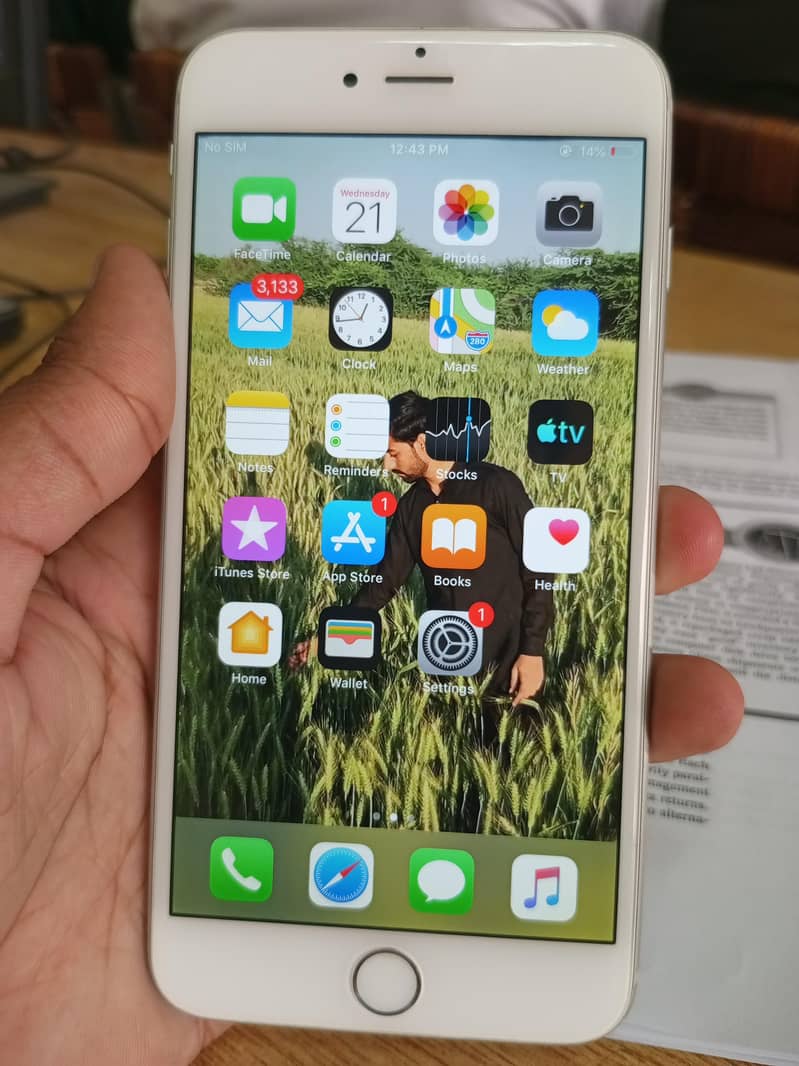 Apple iPhone 6 Plus 1
