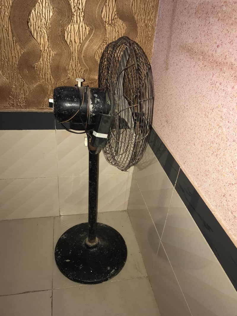 Royal fan 0