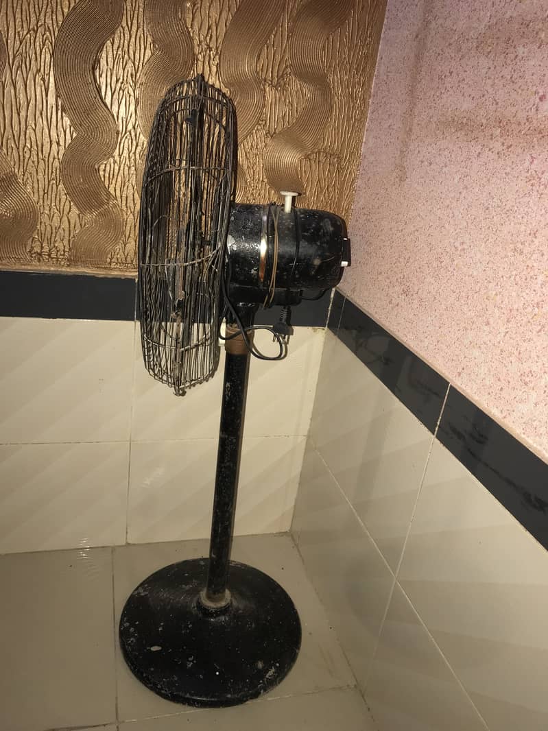 Royal fan 2