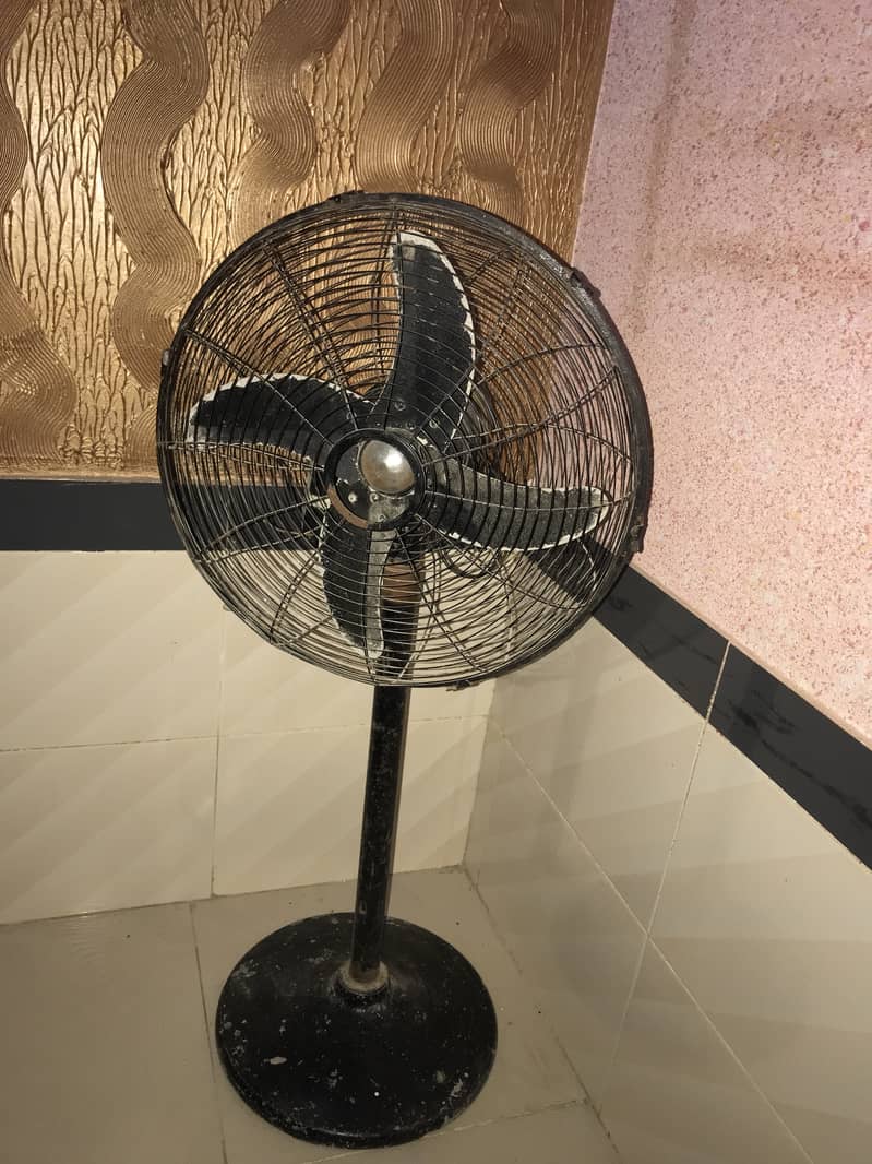 Royal fan 3