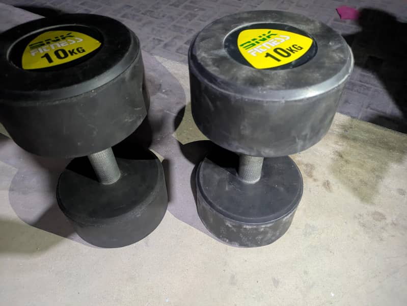 dumbles 10kg 1