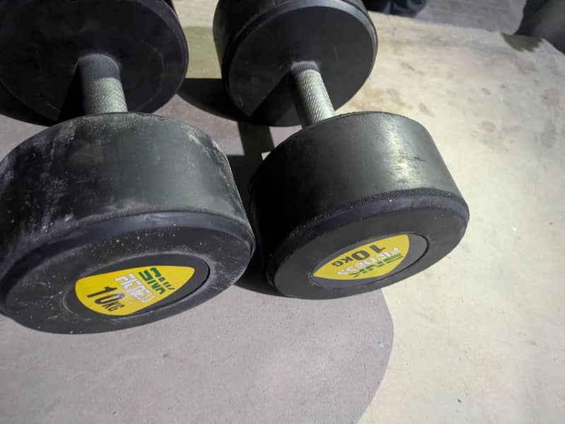 dumbles 10kg 2